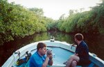 Катер двигается по каналу сквозь мангровые заросли